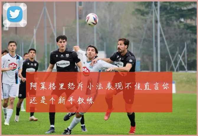 阿莱格里怒斥小法表现不佳直言你还是个新手教练