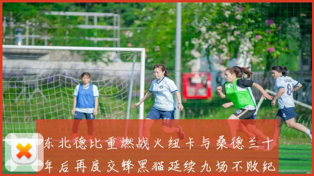 东北德比重燃战火纽卡与桑德兰十年后再度交锋黑猫延续九场不败纪录